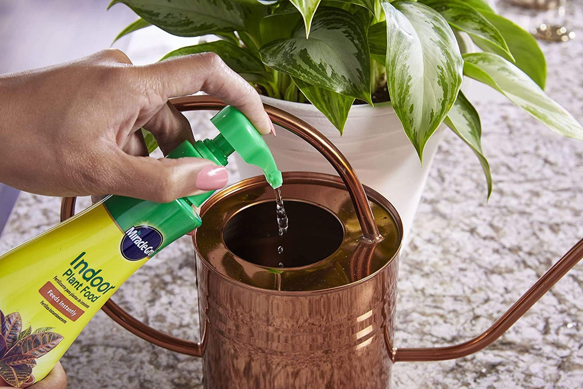 Miracle-Gro indoor plants thriving in pots after regular feeding.