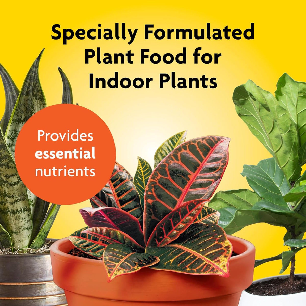 Miracle-Gro NPK 6-12-6 spikes show nutrient blend for balanced plant growth