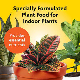 Miracle-Gro NPK 6-12-6 spikes show nutrient blend for balanced plant growth