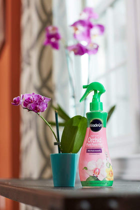 Miracle-Gro Orchid Food Mist six-pack packaging on display