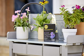 Miracle-Gro Performance Organics Blooms container-flowers receiving steady nutrients