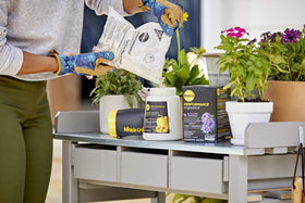 Miracle-Gro Performance Organics Blooms ready-to-feed formula simplifies garden care
