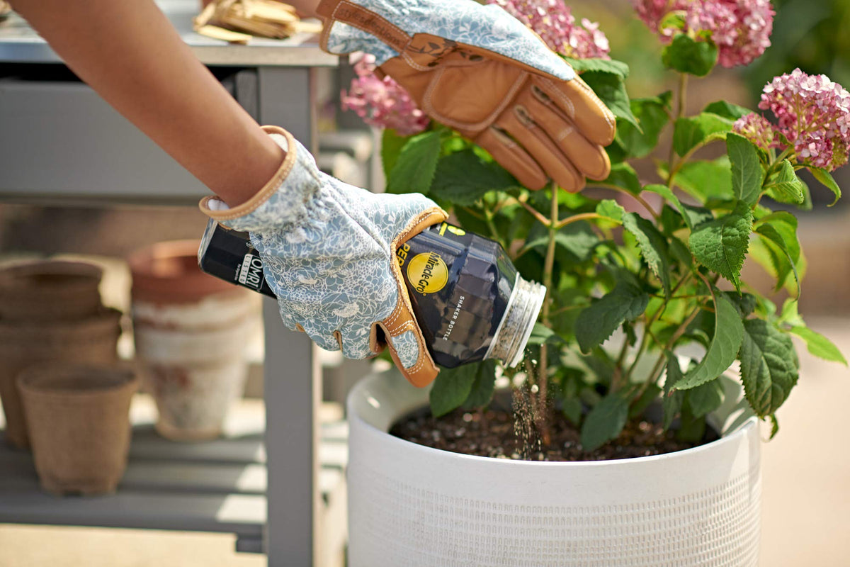 Miracle-Gro Performance Organics reapply every 4-6 weeks for ongoing feeding