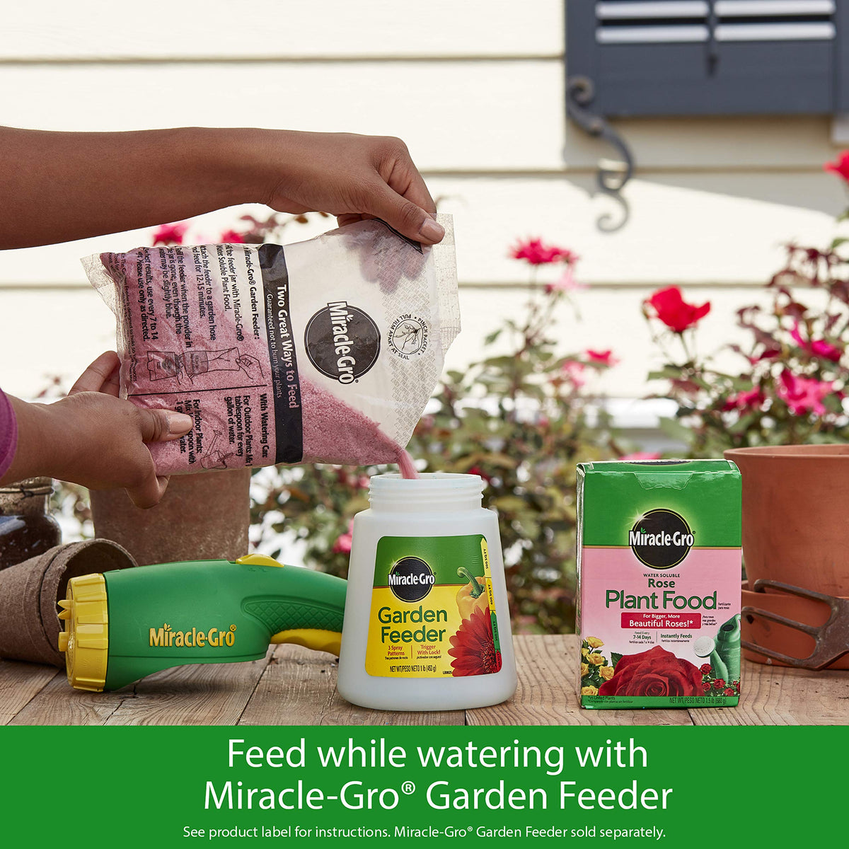 Miracle-Gro Rose Plant Food bottle with American Rose Society endorsement.