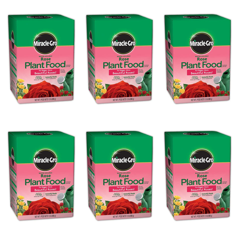 Miracle-Gro Rose Plant Food packaging for six-pack display and easy dosing.