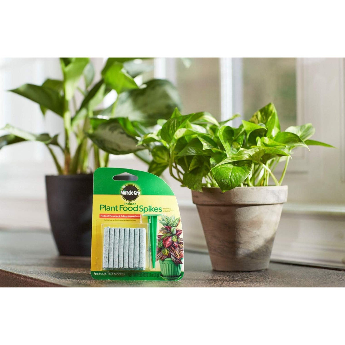 Miracle-Gro Spikes in use on a pot support vibrant foliage and blooms