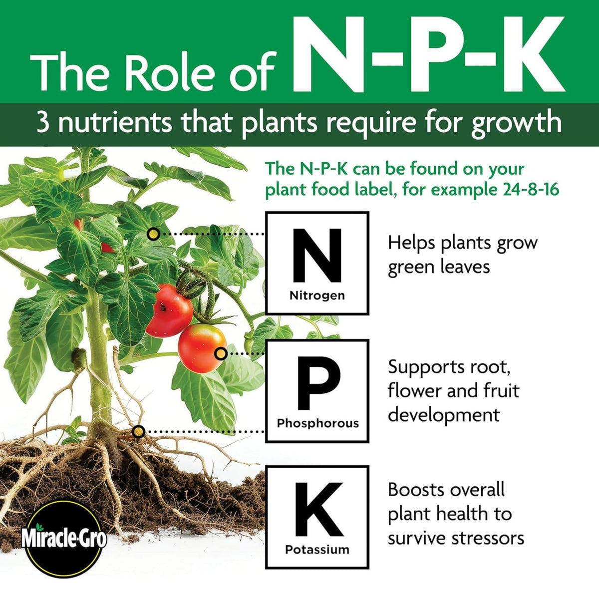 Miracle-Gro Indoor Plant Food Spikes being inserted into moist soil for continuous feeding