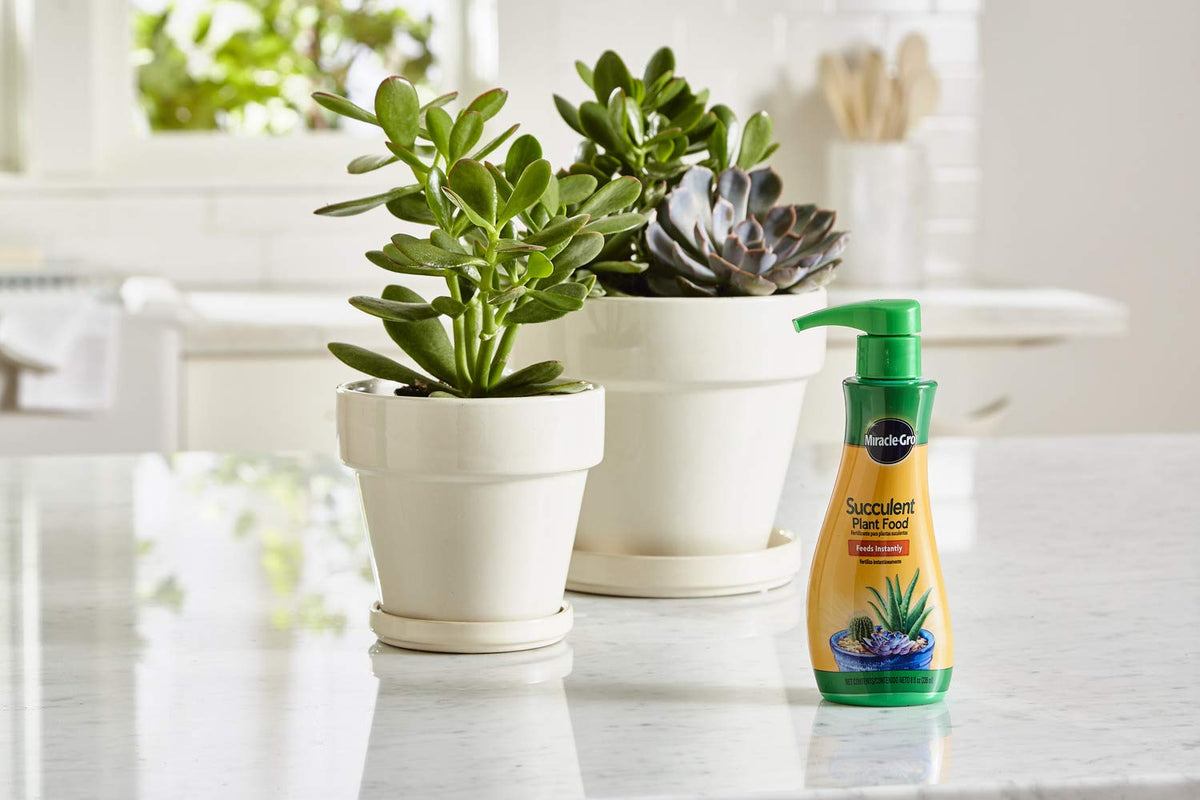 Close-up of Miracle-Gro succulent plant food pouring action for easy mixing with water.