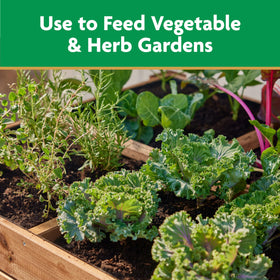 Tomatoes, peppers, and squash fed with Miracle-Gro in garden soil