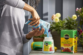 Trees and shrubs receiving greener, fuller foliage with Miracle-Gro