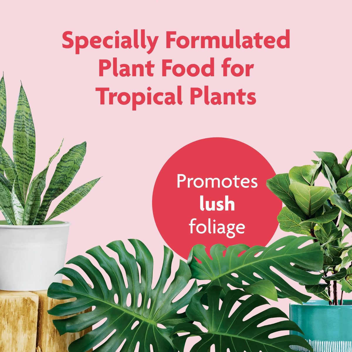 Miracle-Gro Tropical Houseplant Food dosing spout ensures measured amounts.