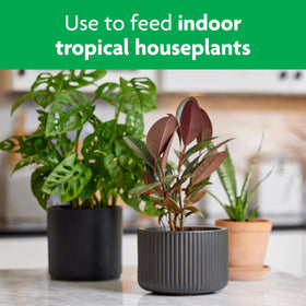 Miracle-Gro Tropical Houseplant Food promotes lush foliage in indoor plants.