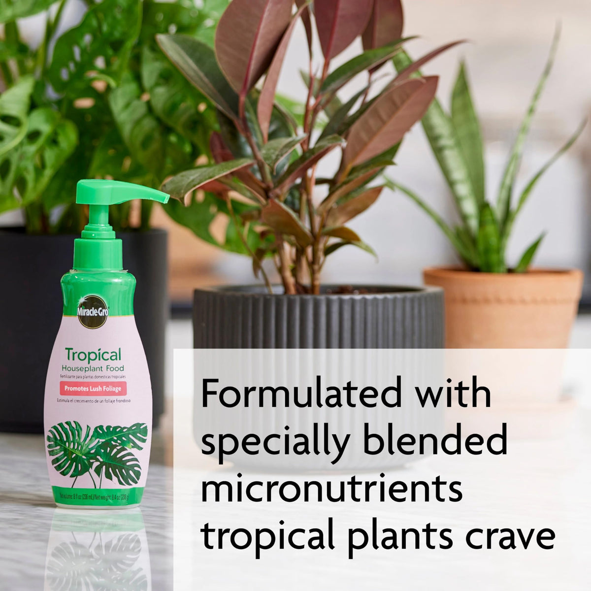 Miracle-Gro Tropical Houseplant Food contains magnesium, manganese, copper, zinc for plant health.