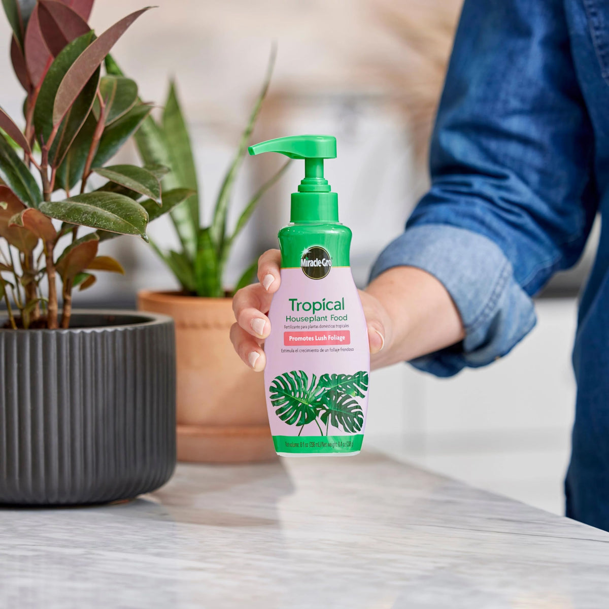 Miracle-Gro Tropical Houseplant Food in watering can mix supports fast distribution.