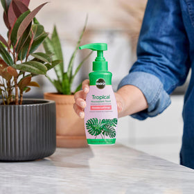 Miracle-Gro Tropical Houseplant Food in watering can mix supports fast distribution.