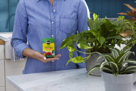 Outdoor garden with Miracle-Gro feeding roses and flowers