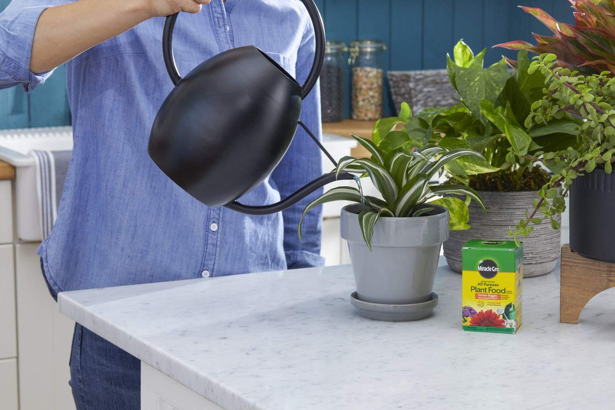 Two-pack Miracle-Gro packaging provides extended feeding for larger areas