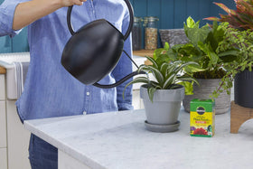 Two-pack Miracle-Gro packaging provides extended feeding for larger areas