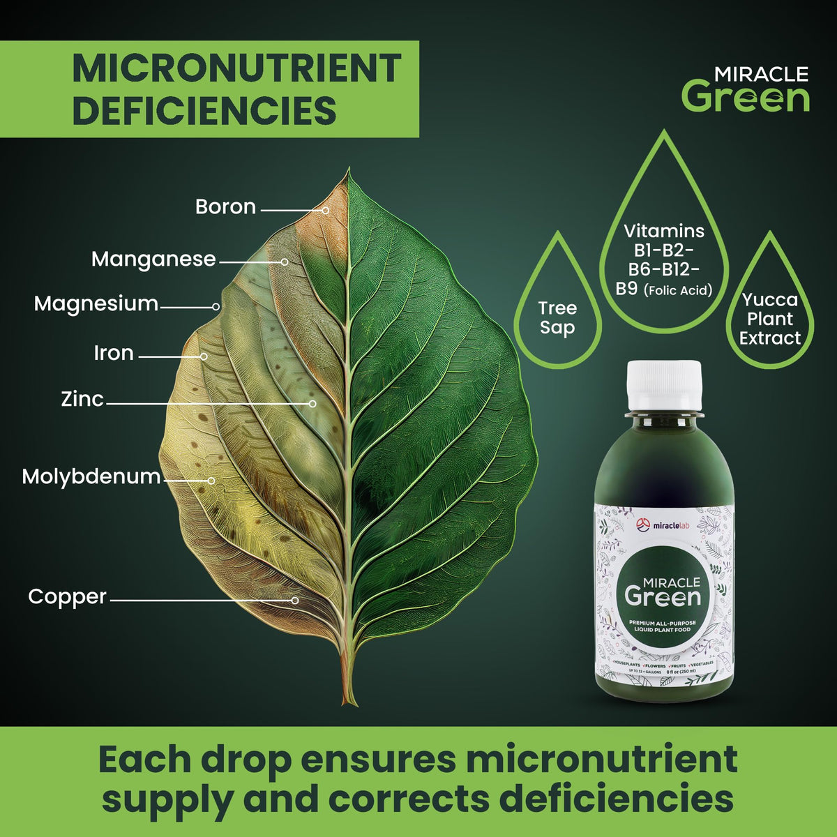 Miracle Green flowers bloom with a vitamin-rich growth formula.