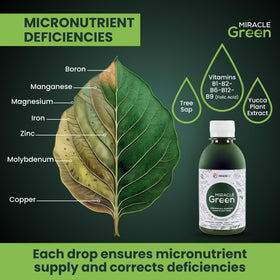 Miracle Green flowers bloom with a vitamin-rich growth formula.