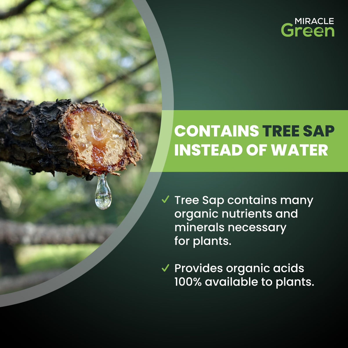 Miracle Green pour demonstrates easy weekly feeding for thriving plants.