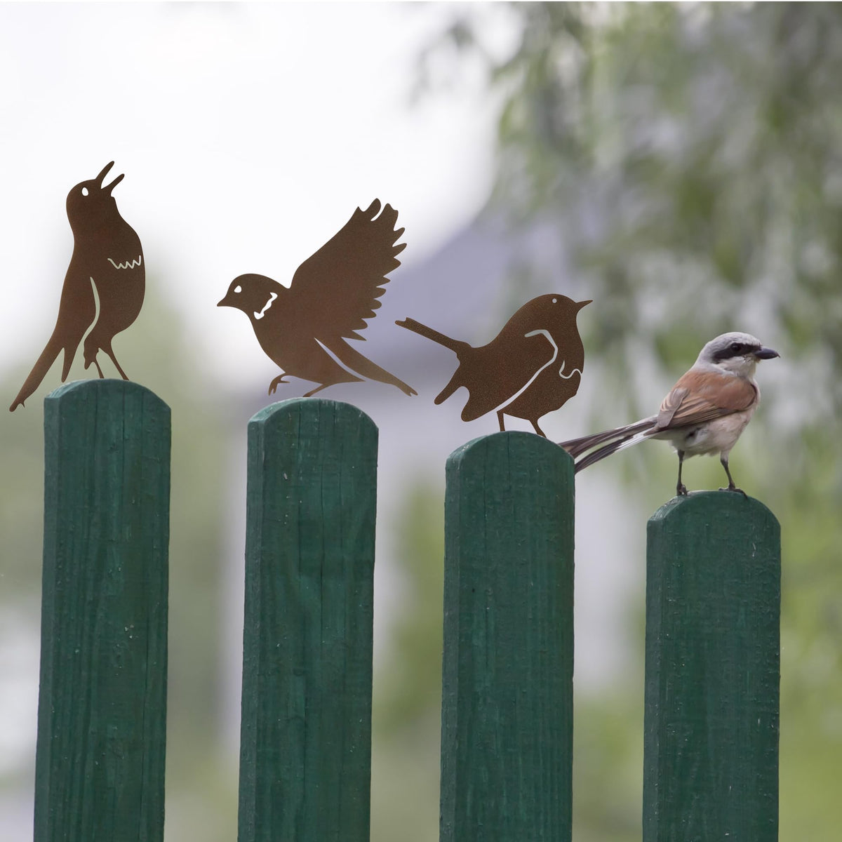 MIRATE gift pack of rusty birds ideal for gardeners and birdwatchers