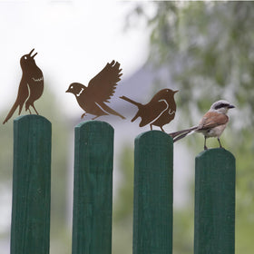 MIRATE gift pack of rusty birds ideal for gardeners and birdwatchers