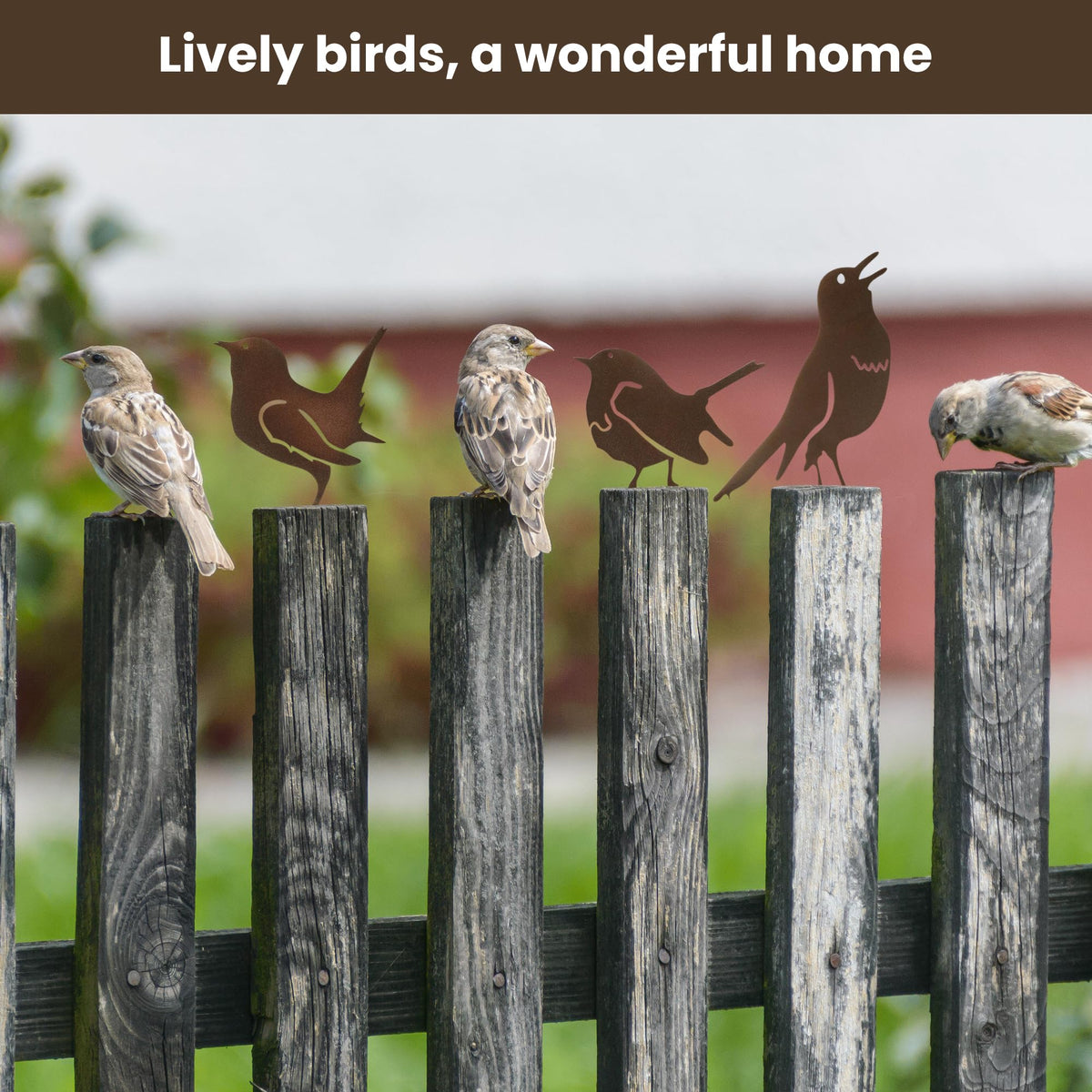 MIRATE outdoor sculpture of rusty birds withstands rain and sun