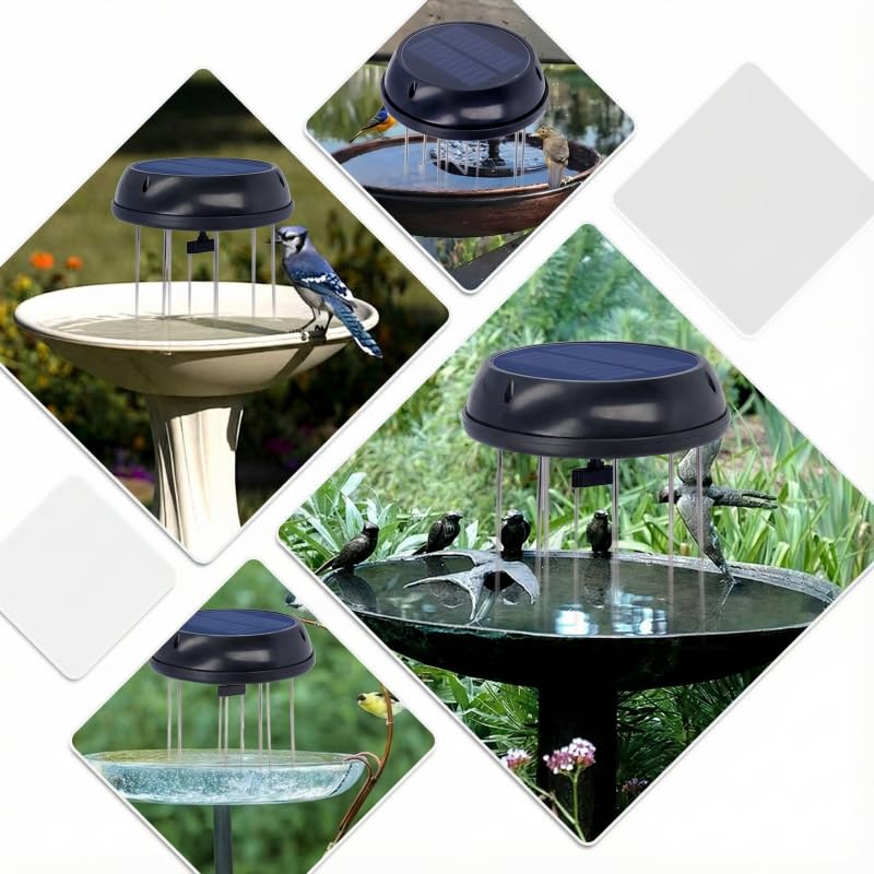 Miriam Song outdoor water feature in a rock garden with reflective light.