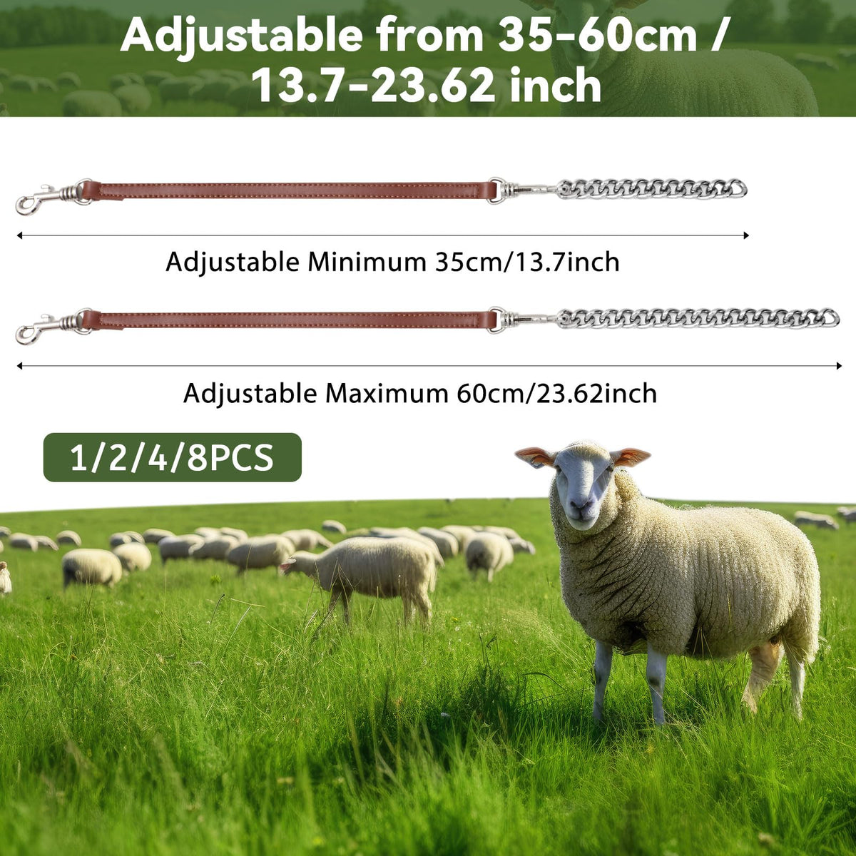 Misdary adjustable collar shows 14-24 inch range for growing animals