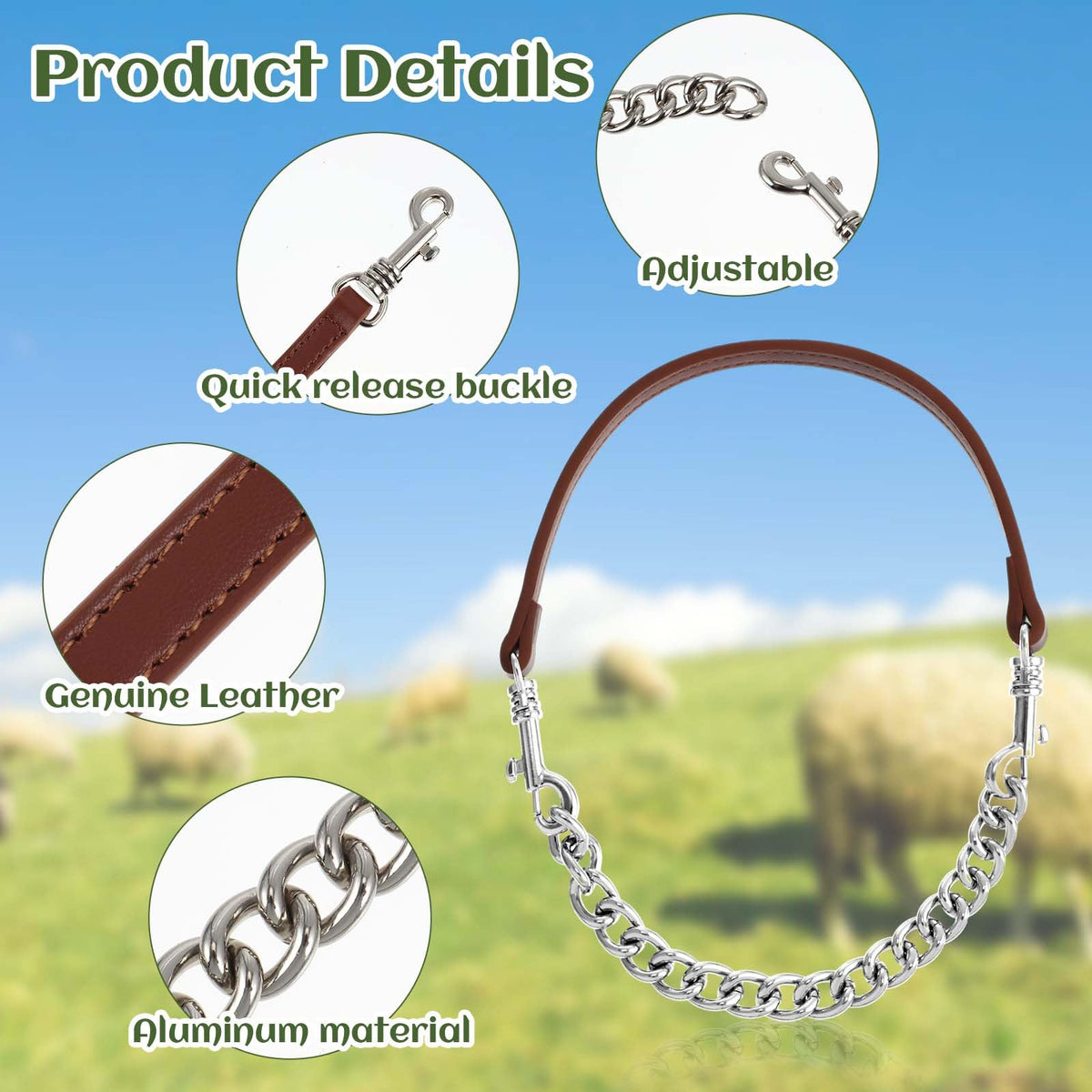 Misdary collar in use during grazing shows freedom of movement