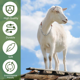 Misdary iron material collar emphasizes durability for daily farm use