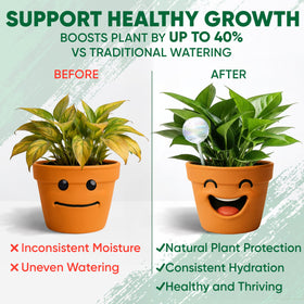 Mission Gallery keeps plant care simple with low maintenance self-watering globes