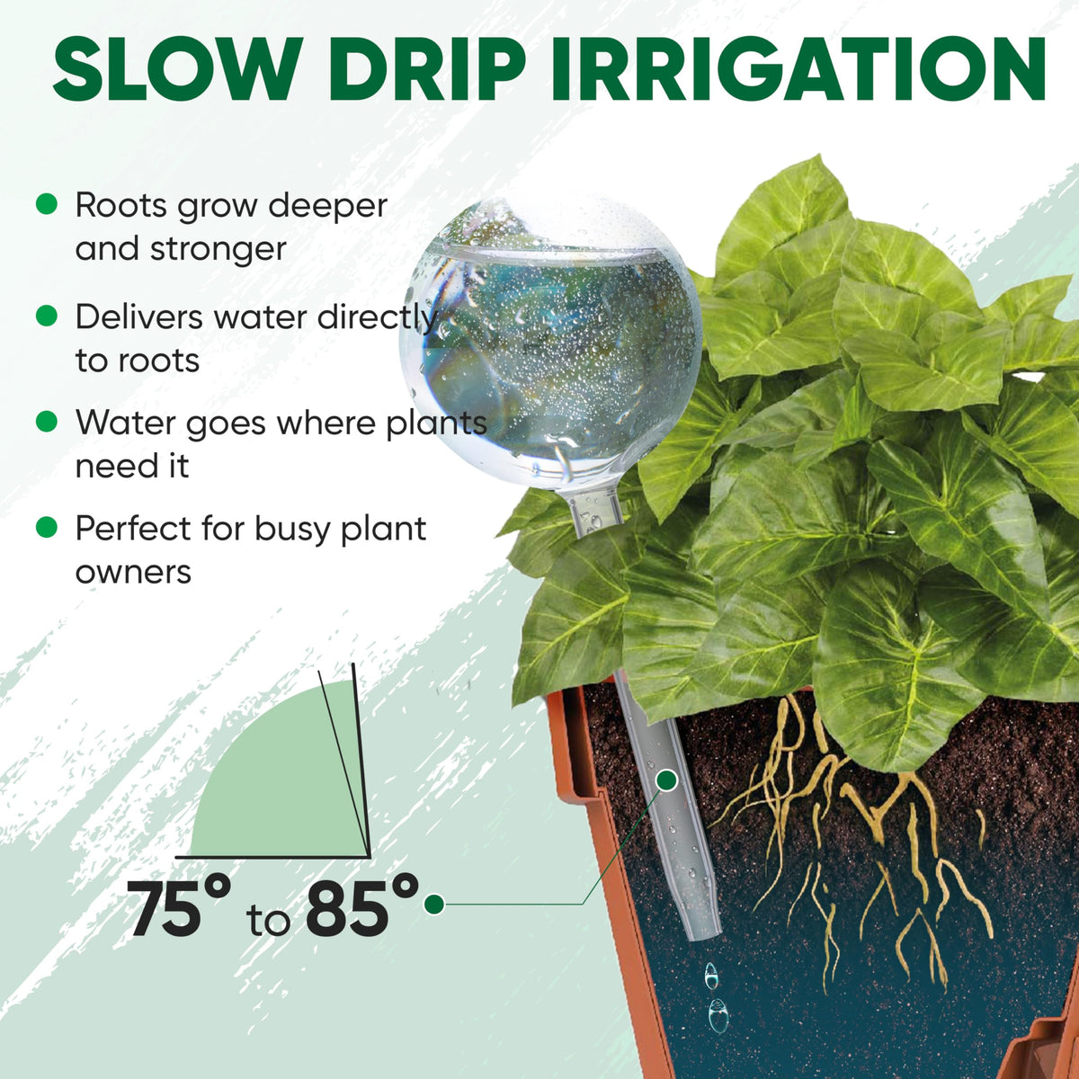 Mission Gallery five-day hydration cycle reduces worry about overwatering