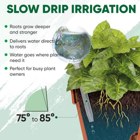 Mission Gallery five-day hydration cycle reduces worry about overwatering