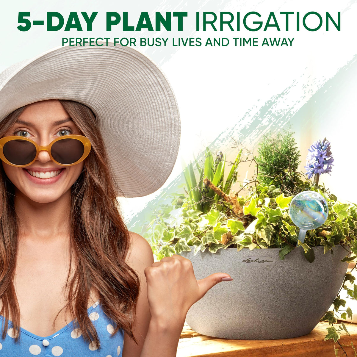 Mission Gallery set for indoor and outdoor plants including hanging planters