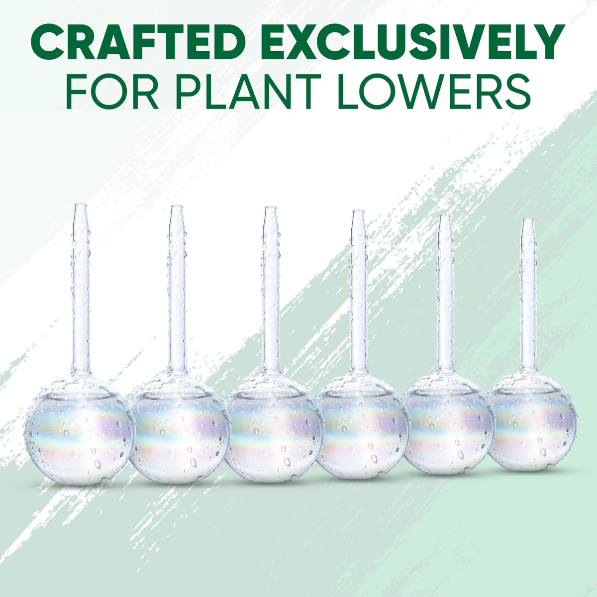 Mission Gallery glass bulbs suit cacti and other low water plants outdoors