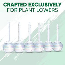 Mission Gallery glass bulbs suit cacti and other low water plants outdoors