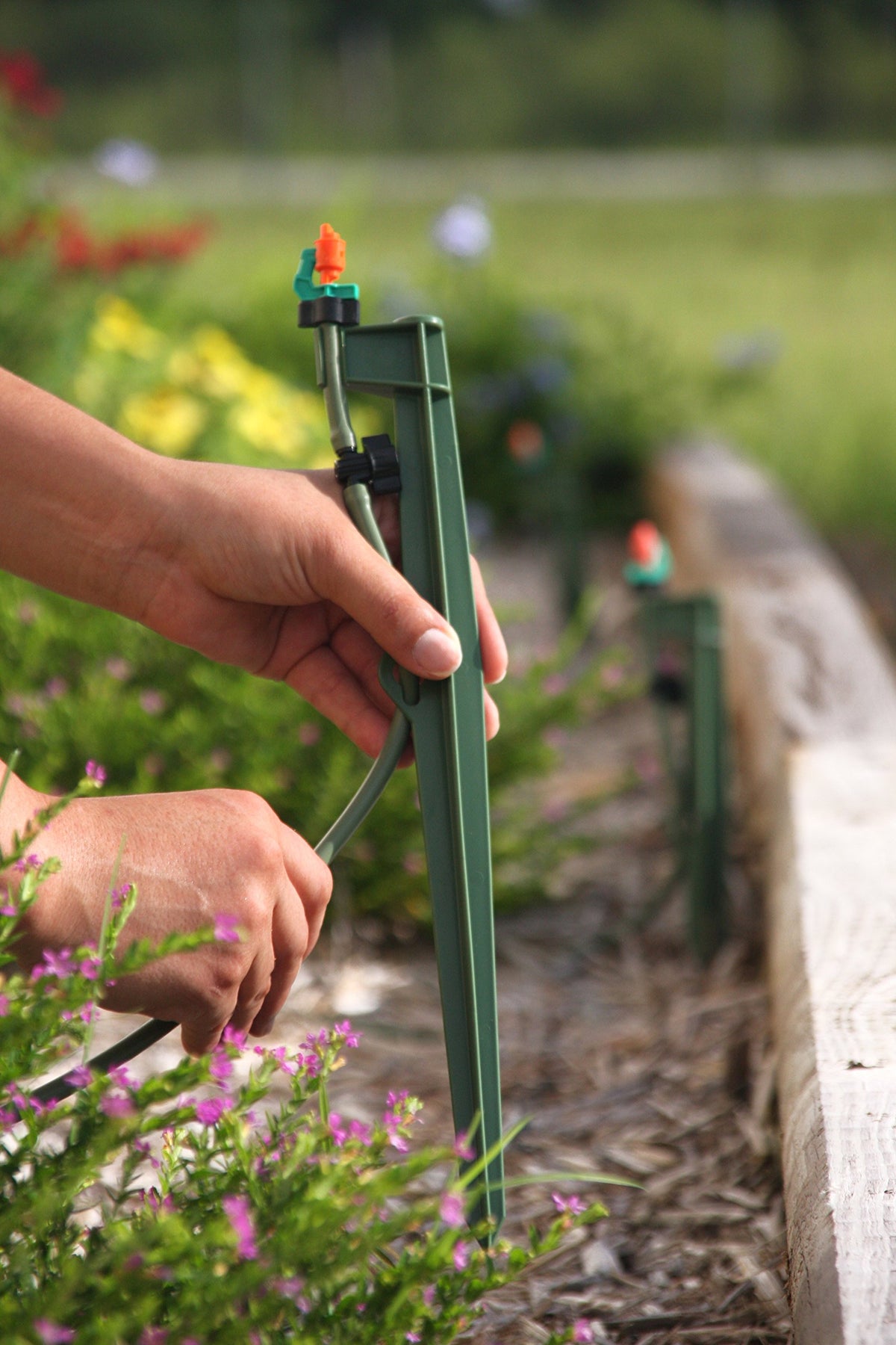 Mister Landscaper green clip stake securing tubing for a stable irrigation layout.