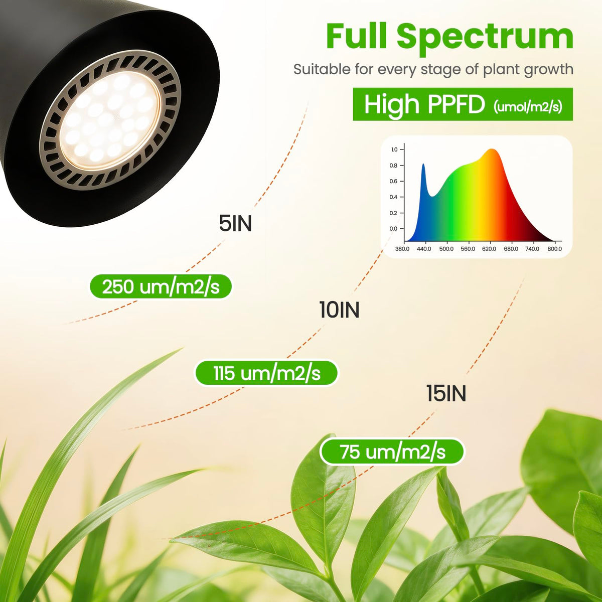 MistyJungle adjustable stand up to 63 inches for tall or small plants