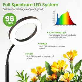 MistyJungle dimmable 10-level control for seedling to flowering stages