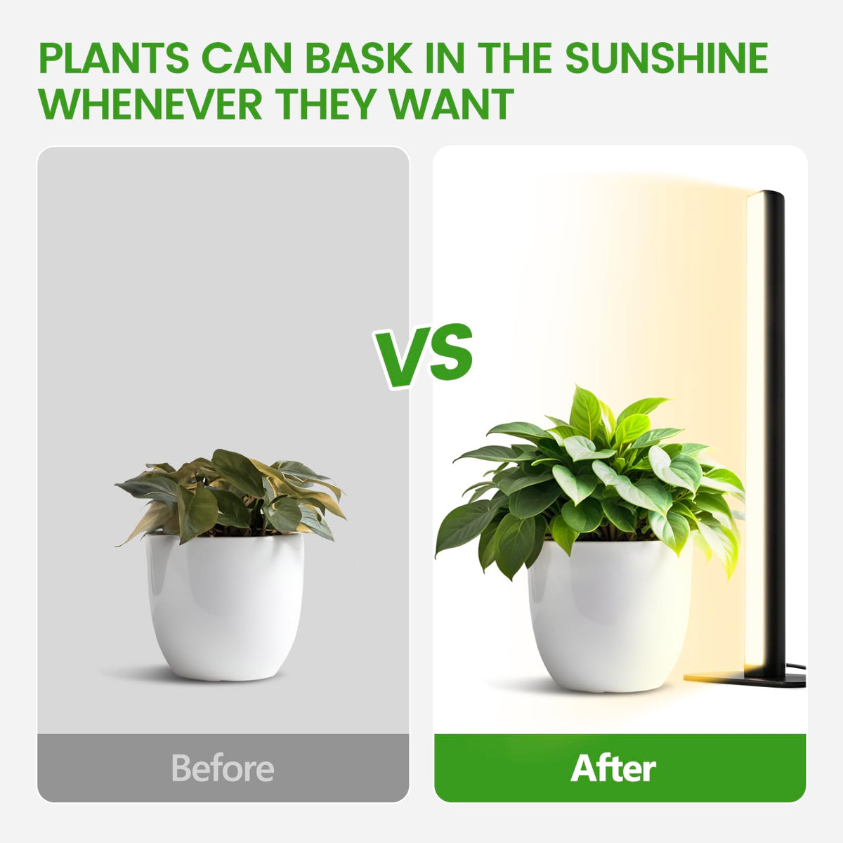 MistyJungle indoor garden setup with standing vertical lamp saves space.