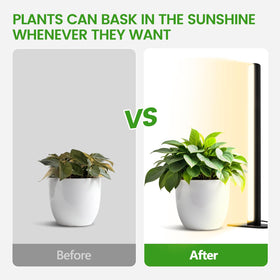 MistyJungle indoor garden setup with standing vertical lamp saves space.
