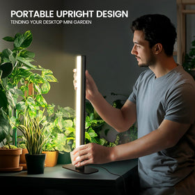 MistyJungle power adapter provides stable output for reliable lighting.