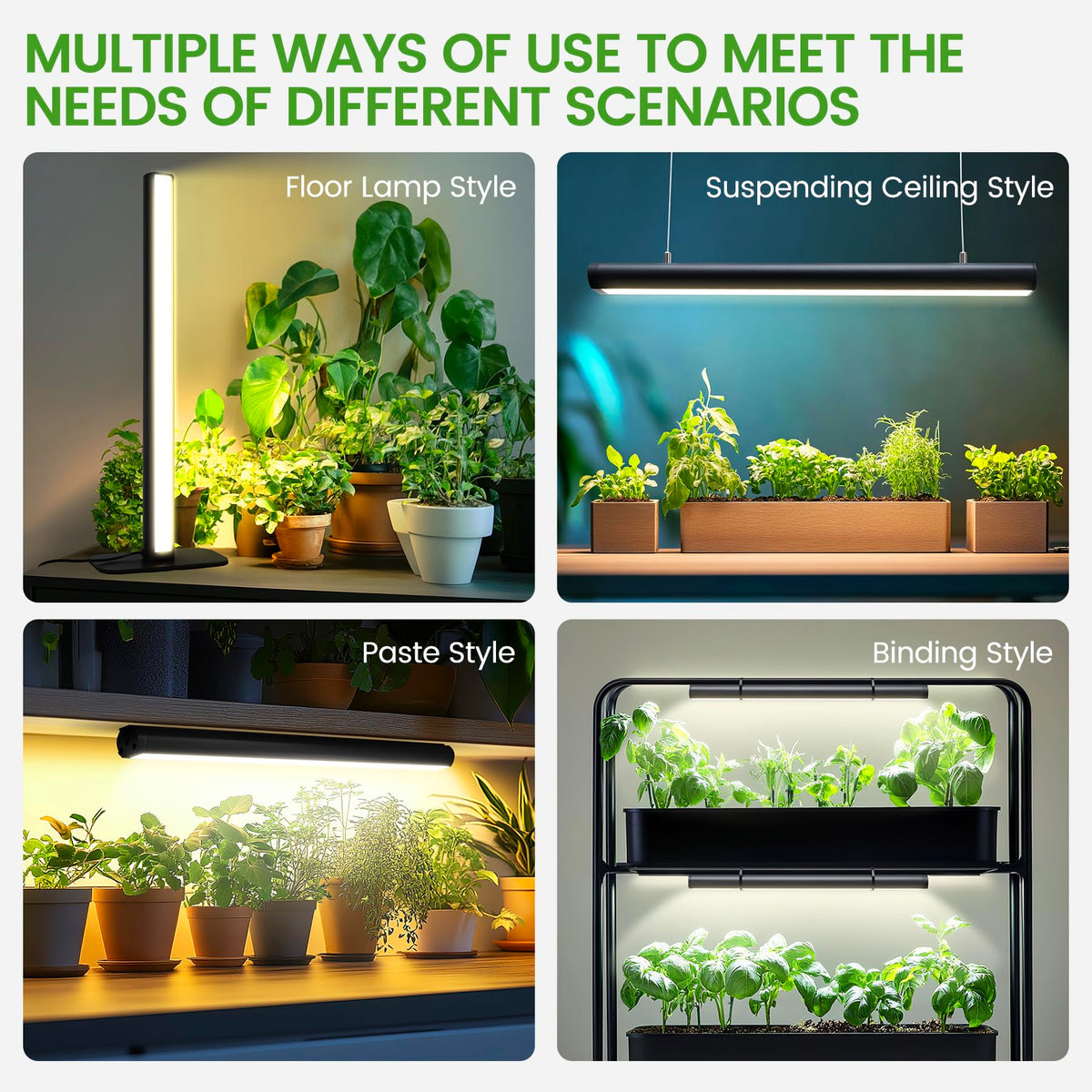 MistyJungle grow light ideal for seed starting and early growth.