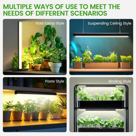 MistyJungle grow light ideal for seed starting and early growth.