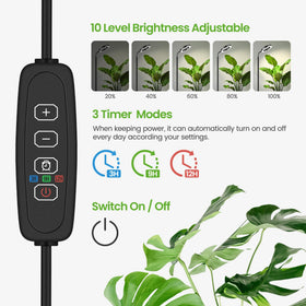 MistyJungle timer modes automate daily on/off for busy owners