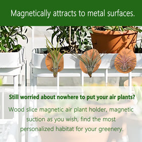 MITIME magnetic wood holder on refrigerator adds natural charm to living spaces
