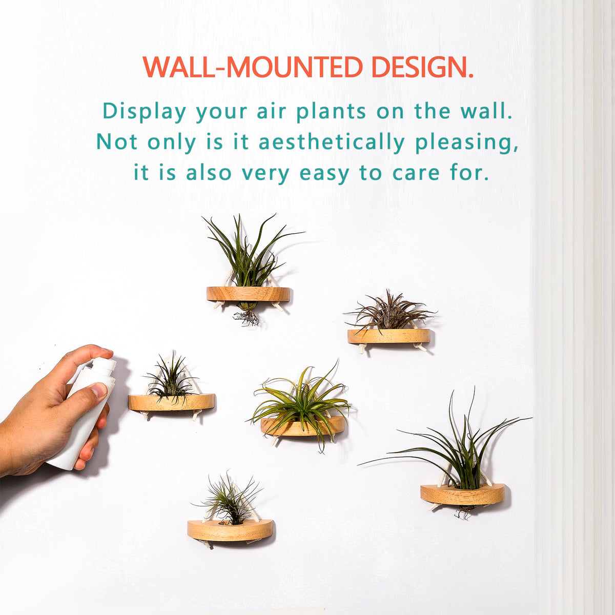 MITIME solid wood and cotton rope hanger for air plants.