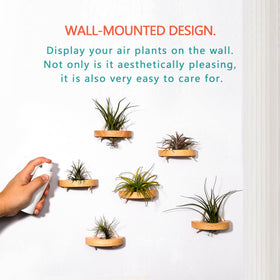 MITIME solid wood and cotton rope hanger for air plants.